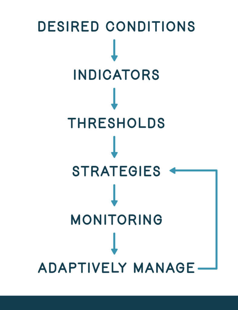 Graphic showing process of visitor use management framework implementation